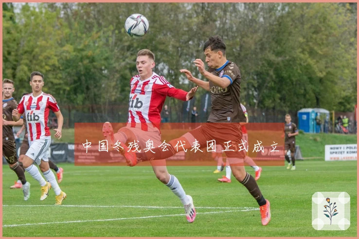 中国冬残奥会代表团正式成立