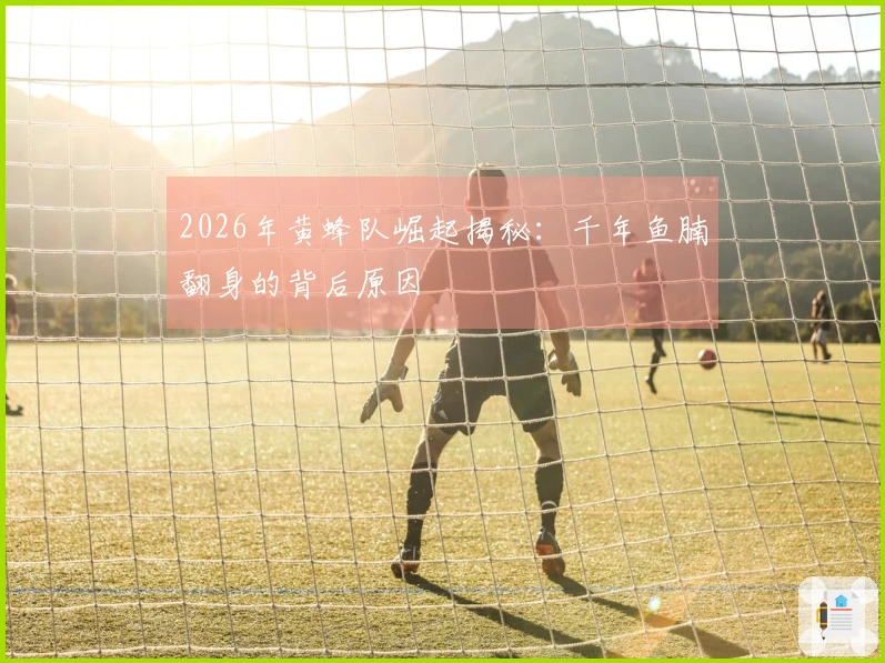 2026年黄蜂队崛起揭秘：千年鱼腩翻身的背后原因