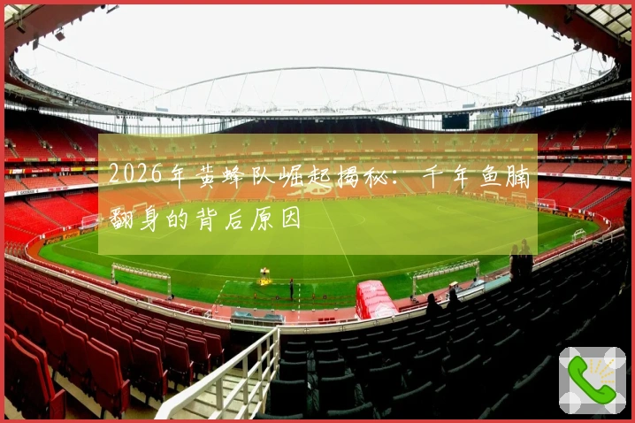 2026年黄蜂队崛起揭秘：千年鱼腩翻身的背后原因