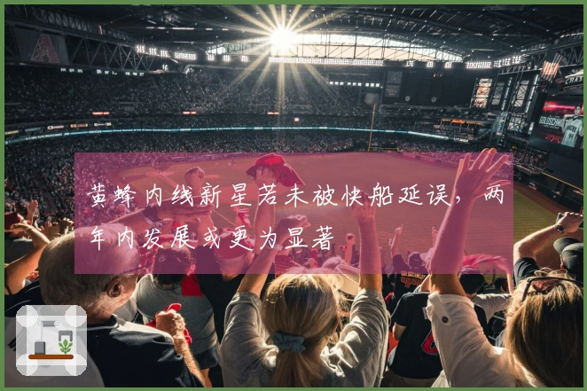 黄蜂内线新星若未被快船延误，两年内发展或更为显著