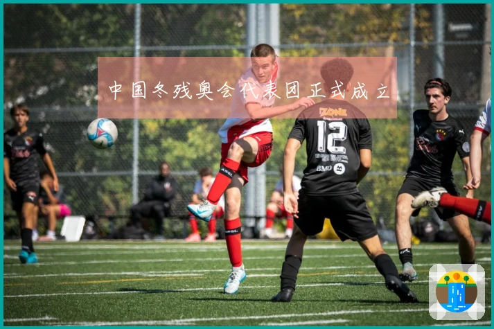 中国冬残奥会代表团正式成立