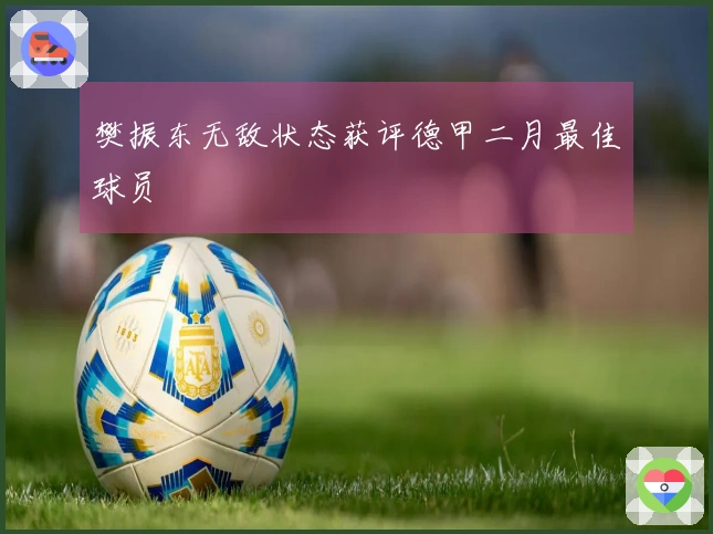 樊振东无敌状态获评德甲二月最佳球员
